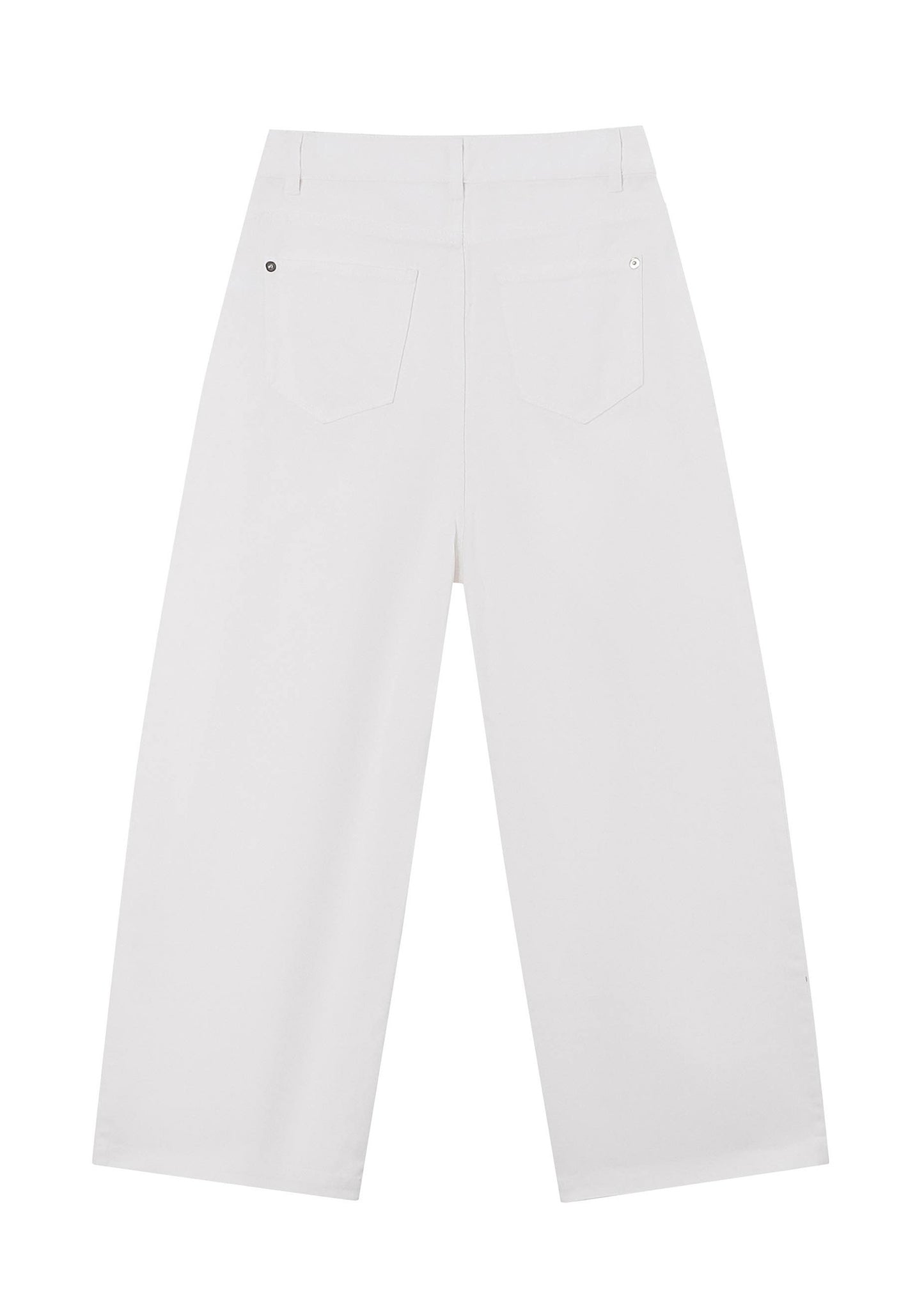 Pleated Denim Pants