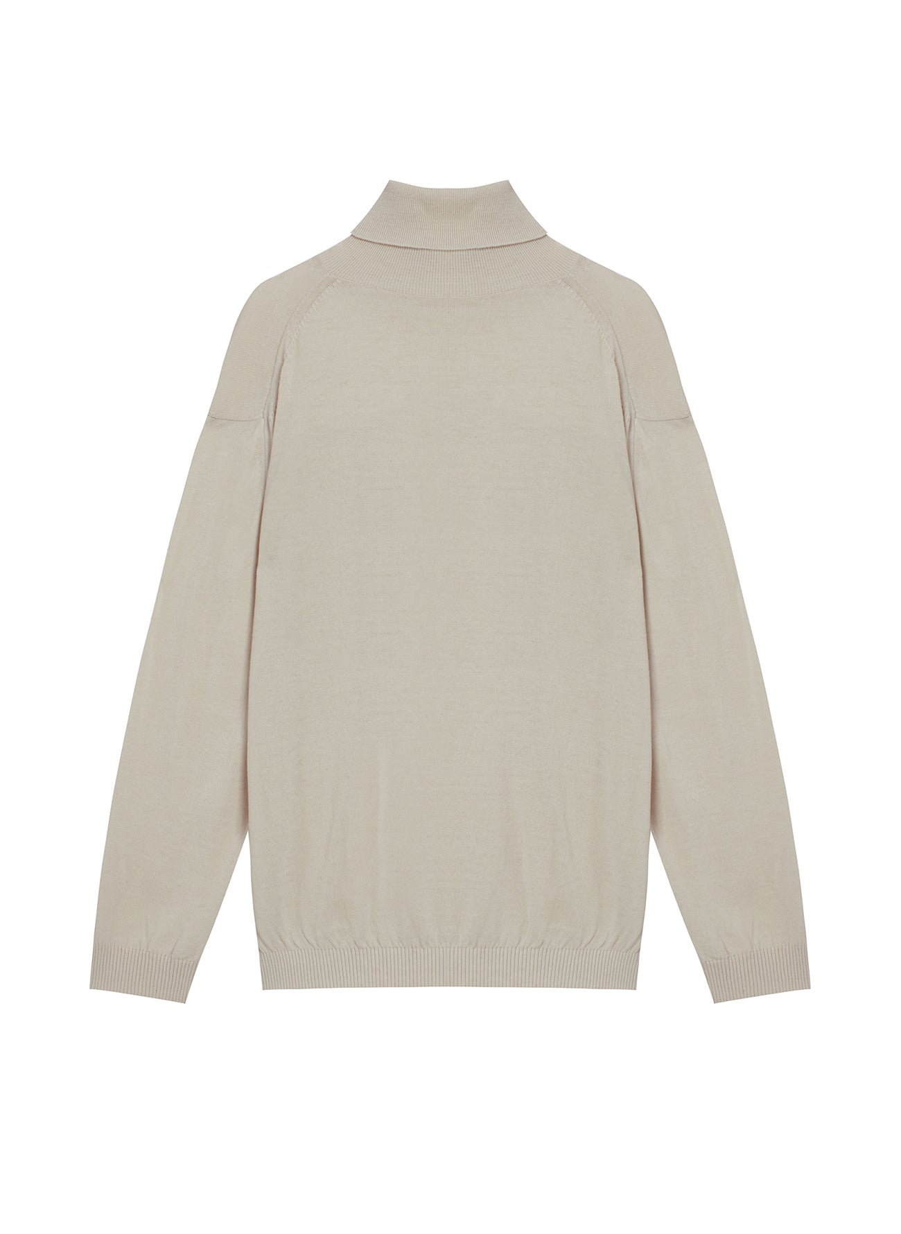 Saturn Turtleneck Knit Pullover