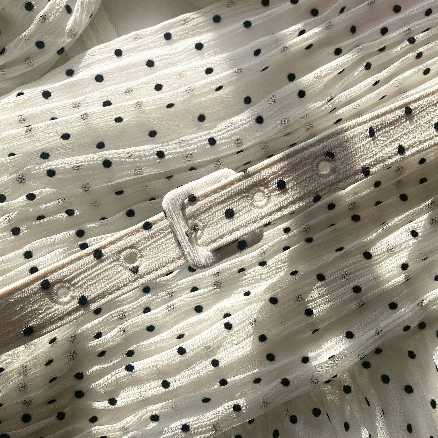 Crinkle Chiffon Dot Dress