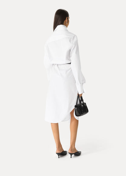 Drunken Shirt Dress