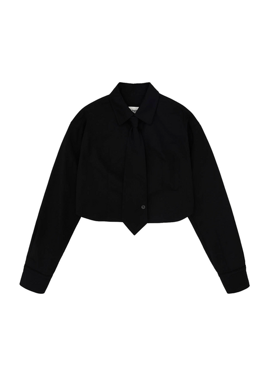 Cropped Shirt And Tie