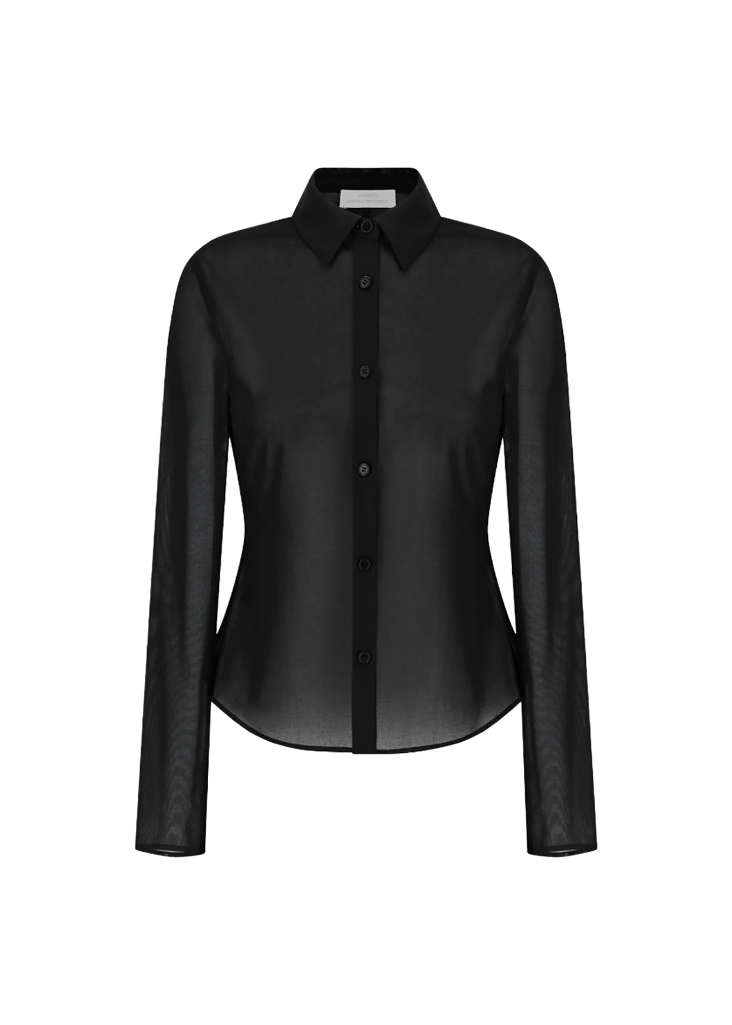 Sheer Slim Shirt