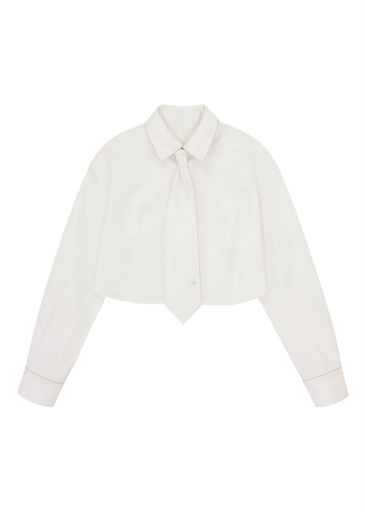 Cropped Shirt And Tie