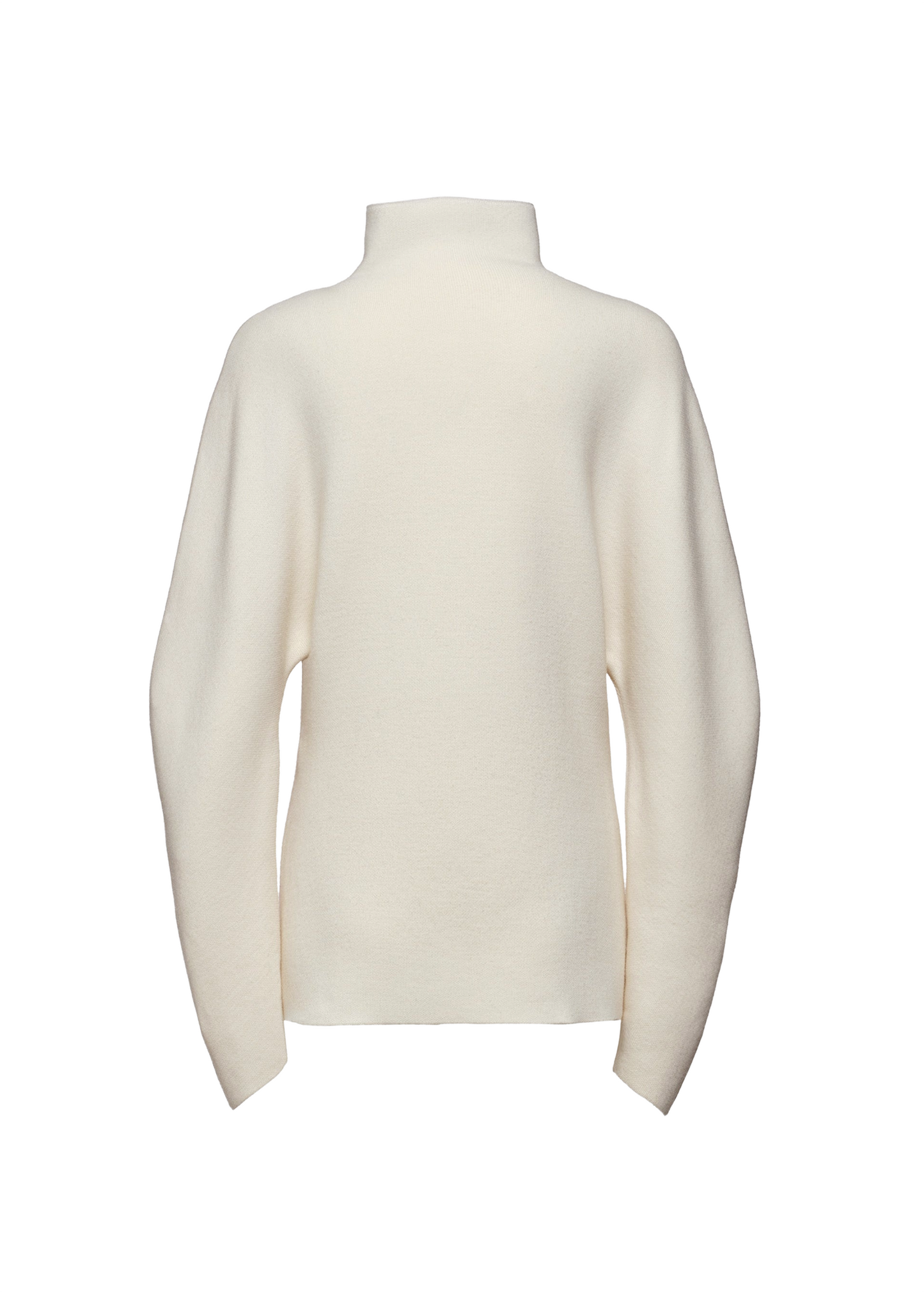 Dimensional Sleeves Wool Turtleneck