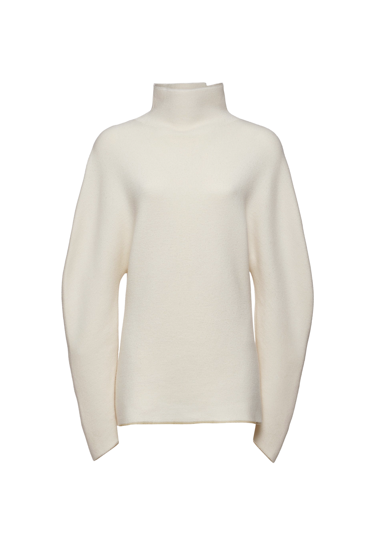 Dimensional Sleeves Wool Turtleneck