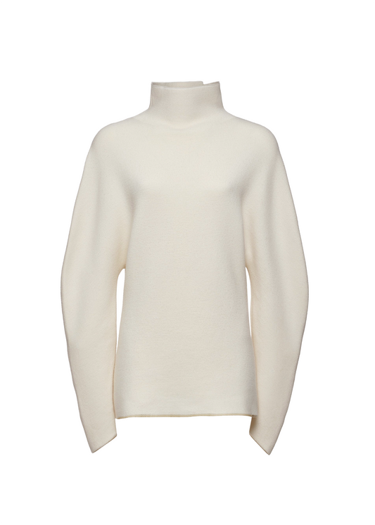 Dimensional Sleeves Wool Turtleneck